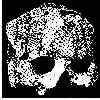Natufian skull