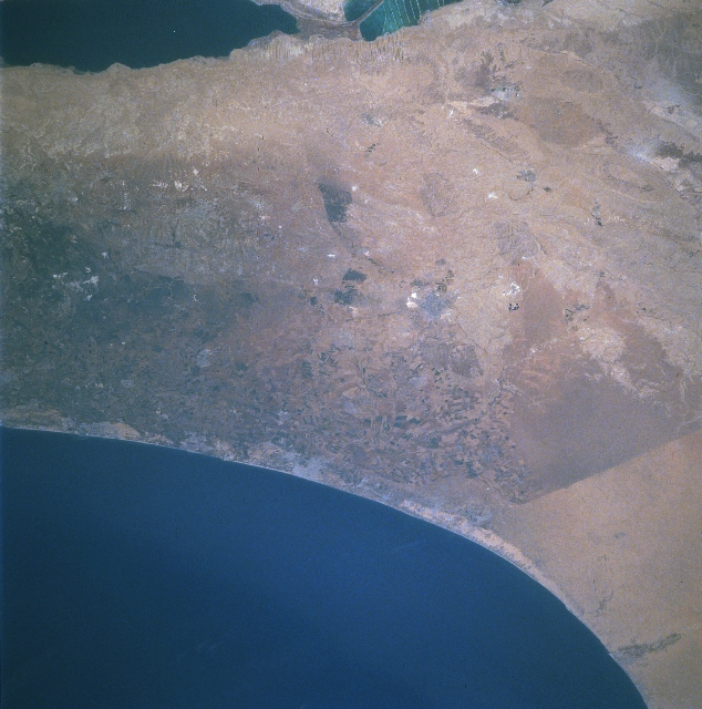 gaza strip